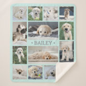 Dog Foto Collage Einfach Moderne Aquamarin und gra Sherpadecke (Vorderseite)