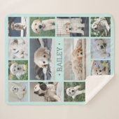 Dog Foto Collage Einfach Moderne Aquamarin und gra Sherpadecke (Vorderseite (Horizontal))