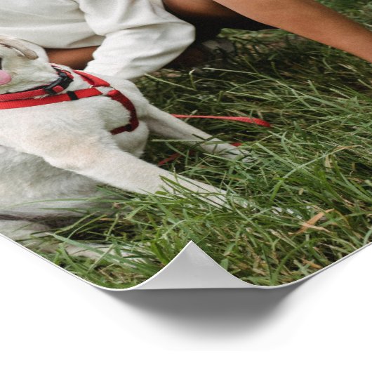 Dog Foto Collage Mit Monogramm Poster (Ecke)