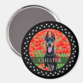 Dog Foto Magnet - Personalisierter Pet Keepake (Vorderseite/Rückseite)