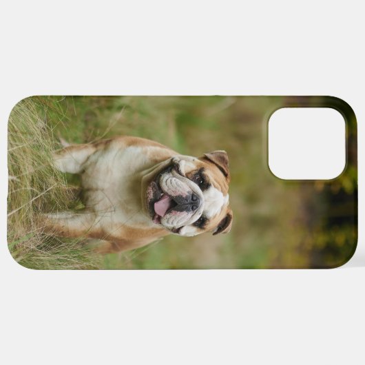 Dog Foto Personalisiert iPhone Case Hülle (Hinten horizontal)