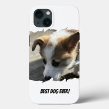 Dog Foto Pet Case-Mate iPhone Case