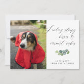 Dog Foto Sloppy Kisses Skript Weihnachten (Vorderseite)