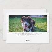 Dog Foto Sloppy Kisses Skript Weihnachten (Rückseite)