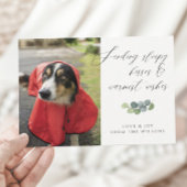 Dog Foto Sloppy Kisses Skript Weihnachten