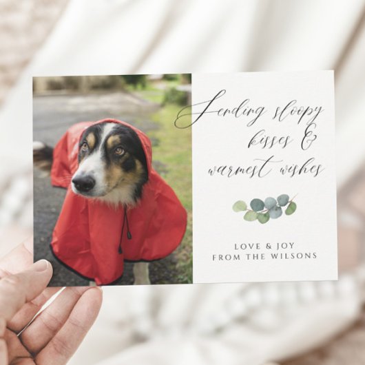 Dog Foto Sloppy Kisses Skript Weihnachten