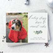 Dog Foto Sloppy Kisses Skript Weihnachten