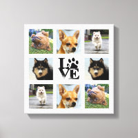 Dog Foto Uni 8 Instagramm-Images