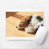 Dog Fox Terrier Foxl Young Dog Animal Shelter Mousepad (Mit Mouse)