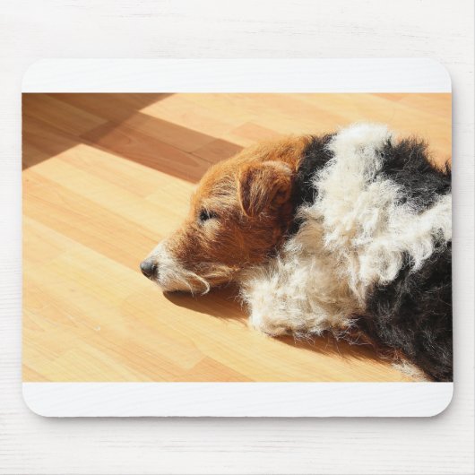Dog Fox Terrier Foxl Young Dog Animal Shelter Mousepad (Vorne)