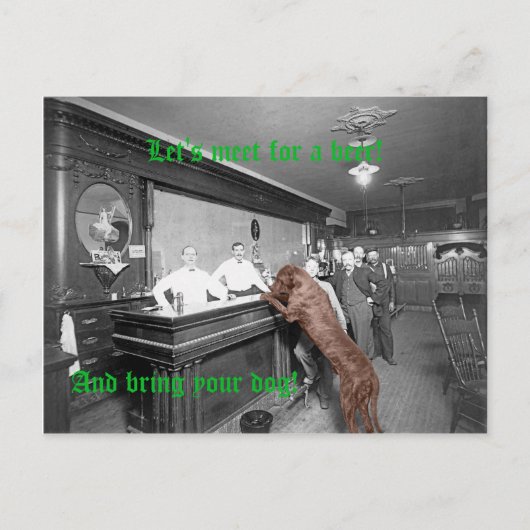 Dog Friendly Saloon Tavern Bar 1900 Fotograf Postkarte (Vorderseite)