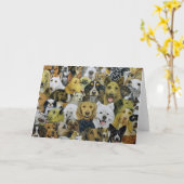 Dog Friends Karte (Gelbe Blume)