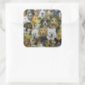 Dog Friends Quadratischer Aufkleber (Tasche)
