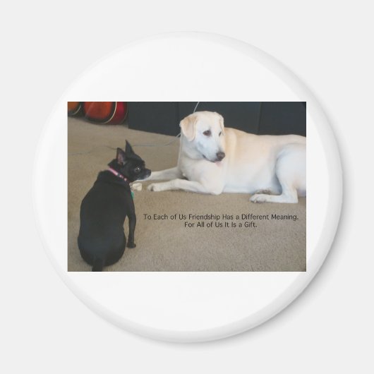 Dog Friendship Magnet (Vorne)
