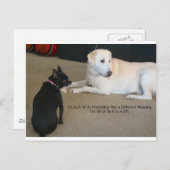 Dog Friendship Postkarte (Vorne/Hinten)