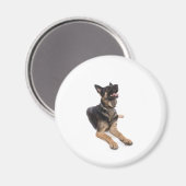dog - German Shepherd Magnet (Vorderseite/Rückseite)
