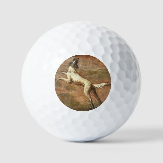 Dog Golfball (Vorderseite)