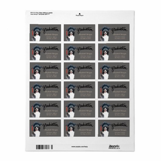 Dog Graduation Cap Adressaufkleber (Vorne)