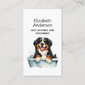 Dog Groomer Bernese Berg Ernennung Visitenkarte (Vorderseite)