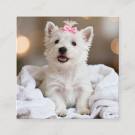 Dog Groomer Business Card Quadratische Visitenkarte