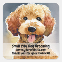 Dog Groomer Business
