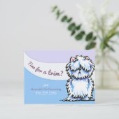 Dog Groomer Shabby Westie Advertisement Mailer Postkarte (Stehend Vorderseite)