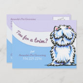 Dog Groomer Shabby Westie Advertisement Mailer Postkarte (Vorne/Hinten)