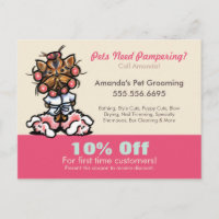 Dog Groomer Wellness-Center Coupon Mailer Yorkie C