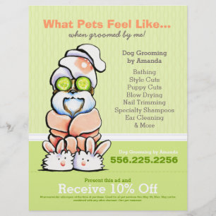 Dog Groomer Wellness-Center Shih Tzu Cucumber Coup Flyer