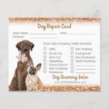 Dog Grooming Report Card Flyer für Kupfer-Glitzer