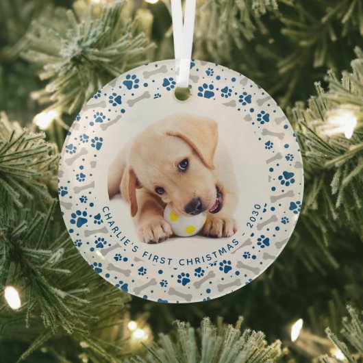Dog Holiday Paw Prints Personalisiert 2 Begleiter Ornament Aus Glas (InSitu)