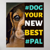 #Dog, Ihr neuer Best #Pal ...Beagle Poster (Vorne)