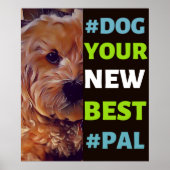 #Dog, Ihr neuer Bester #Pal ...Cavapoo Poster (Vorne)