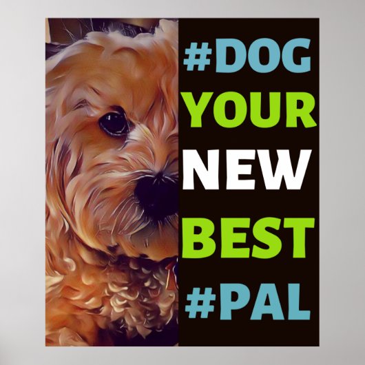 #Dog, Ihr neuer Bester #Pal ...Cavapoo Poster (Vorne)