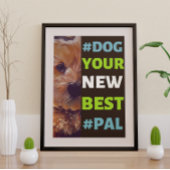 #Dog, Ihr neuer Bester #Pal ...Cavapoo Poster