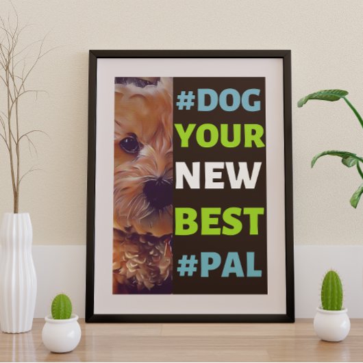 #Dog, Ihr neuer Bester #Pal ...Cavapoo Poster