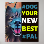 #Dog, Ihr neuer Bester #Pal ...Keeshond Poster (Vorne)