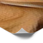 #Dog, Ihr neuer Bester #Pal ...Leonberger Poster (Ecke)