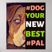 #Dog, Ihr neues Bestes #Pal ...Pitbull Poster (Vorne)