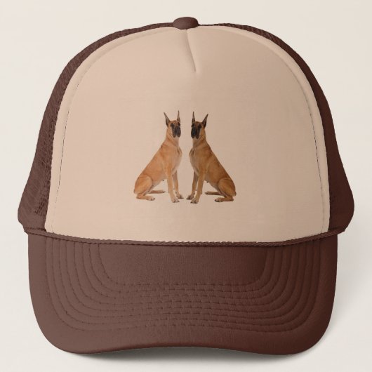Dog-Image für Panel-Cap Truckerkappe (Vorderseite)