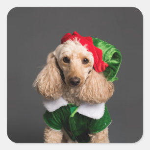 Dog in Elf Kostüm Quadratischer Aufkleber