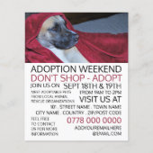 Dog in Red Blanket, Pet Adoption Event Advertising Flyer (Vorne)