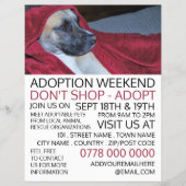 Dog in Red Blanket, Pet Adoption Event Advertising Flyer (Vorne)