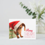 Dog in Santa hat Feiertagspostkarte (Stehend Vorderseite)