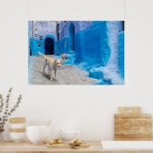 Dog in the Blue City Poster (Küche)