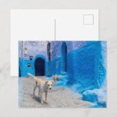 Dog in the Blue City Postkarte (Vorne/Hinten)