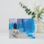 Dog in the Blue City Postkarte (Stehend Vorderseite)