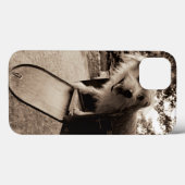 Dog Inside a Mailbox Case-Mate iPhone Hülle (Rückseite (Horizontal))