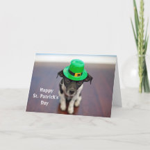 Dog Irish Hat St. Patrick's Day