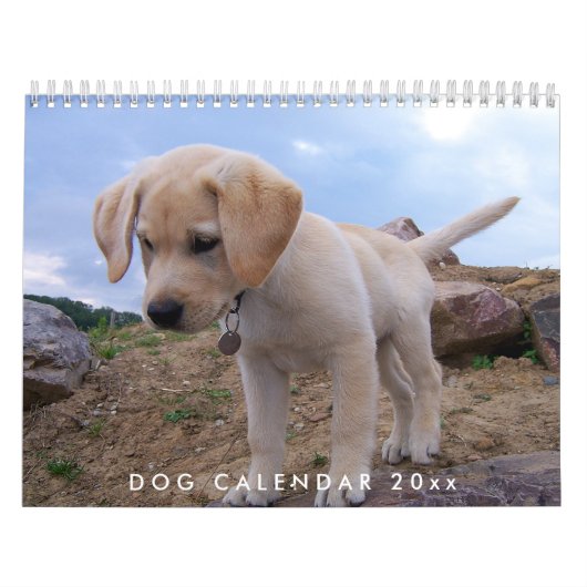 Dog Kalender 2024 mit Ihren Fotos (Titelbild)